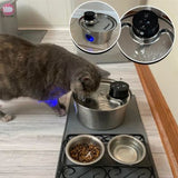 Fontaine a Eau Chat|Casserolat™