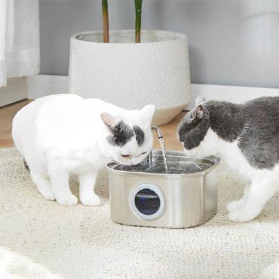 fontaine-a-eau-chat-grand-volume