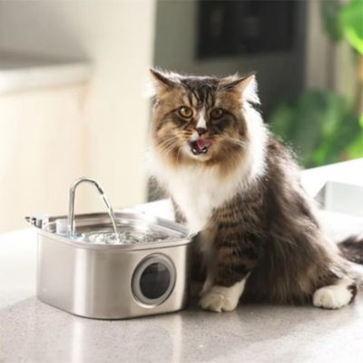 fontaine-a-eau-chat-grande-capacite