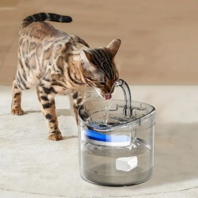 fontaine-a-eau-chat-hydrique