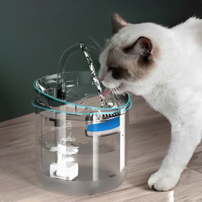 fontaine-a-eau-chat-hydrophile