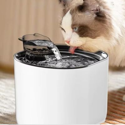 fontaine-a-eau-chat-lapage