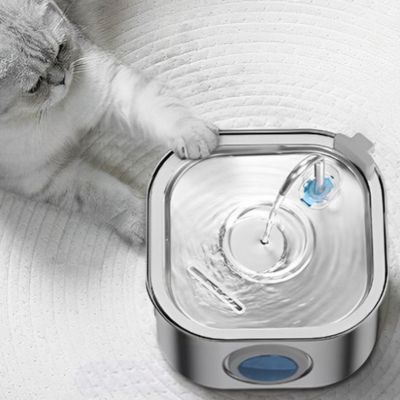 Fontaine a eau chat | Lopota