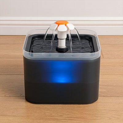 fontaine a eau chat noire illuminée