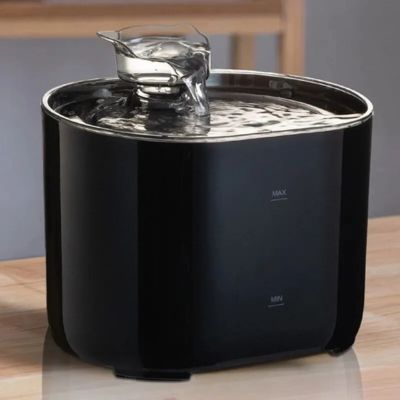 fontaine-a-eau-chat-noire