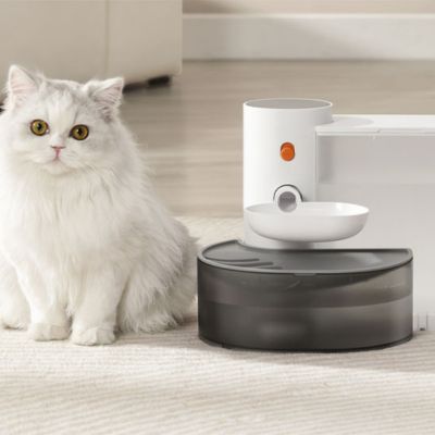 fontaine-a-eau-chat-personnel