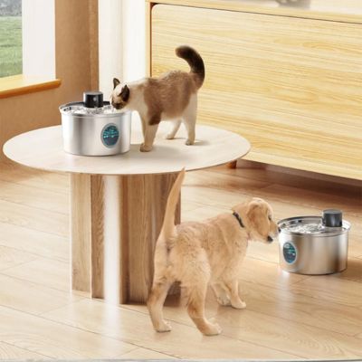 fontaine-a-eau-chat-pour-tous