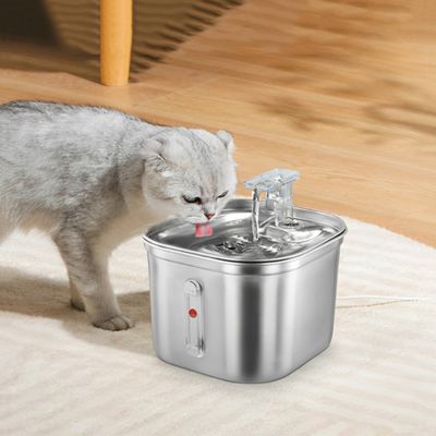 fontaine-a-eau-chat-proprete