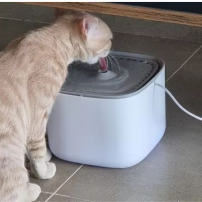 Fontaine a eau chat|Kubyo