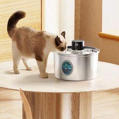 fontaine-a-eau-chat-seul