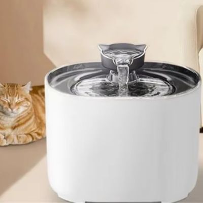 fontaine-a-eau-chat-silencieusement