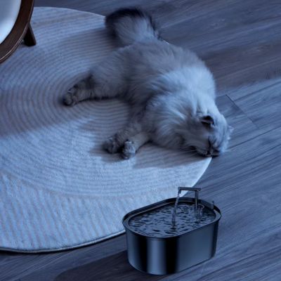 fontaine-a-eau-chat-sommeil-tranquille