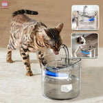 Fontaine a Eau Chat|Boutellat™
