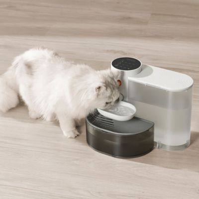 fontaine-a-eau-chat-spirit