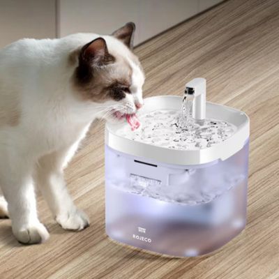 fontaine-a-eau-pour-chat-attrayante