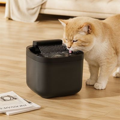 fontaine-a-eau-pour-chat-confortable