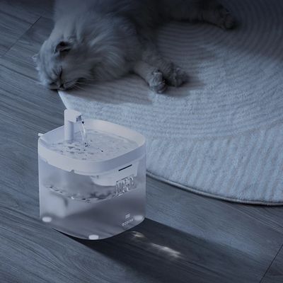 fontaine à eau pour chat fonctionnement silencieux