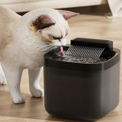 fontaine-a-eau-pour-chat-noire-efficace