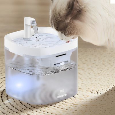 fontaine-a-eau-pour-chat-purification