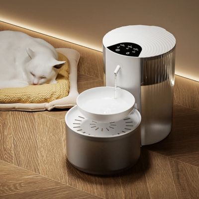 fontaine-a-eau-pour-chat-taiseuse