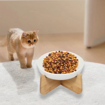 Gamelle anti glouton chat|Gloutocat