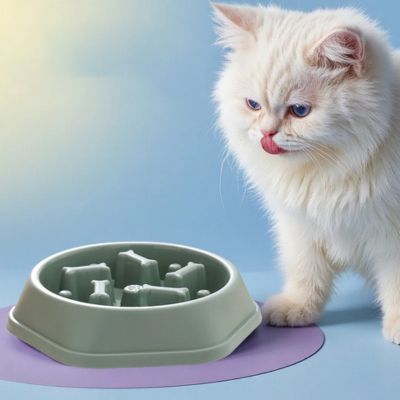 gamelle-anti-glouton-chat-attente-croquettes