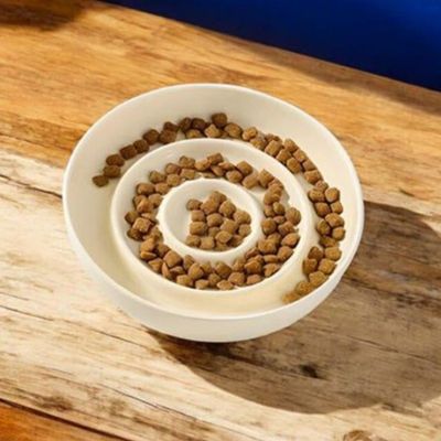 gamelle-anti-glouton-chat-circulaire