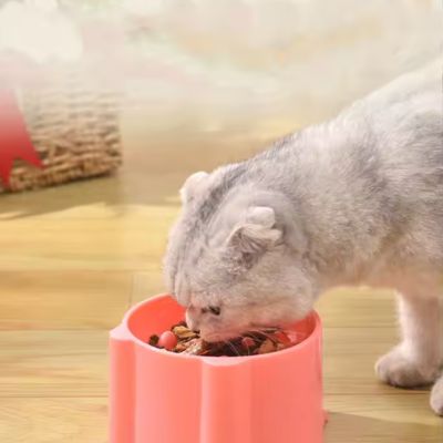 gamelle-anti-glouton-chat-croquettes