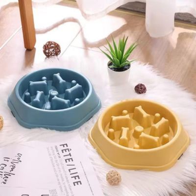 gamelle-anti-glouton-chat-desemplie