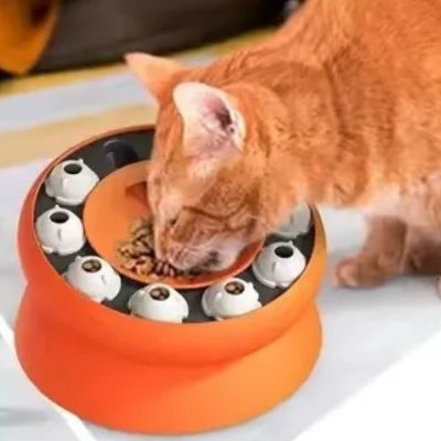 gamelle-anti-glouton-chat-exercices