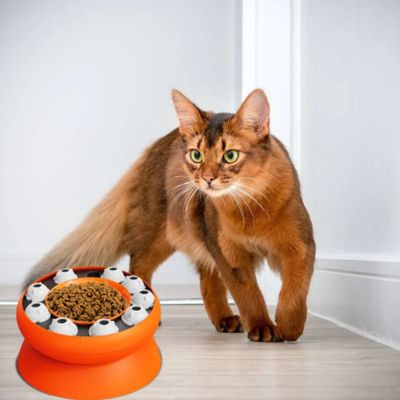 gamelle-anti-glouton-chat-festivites