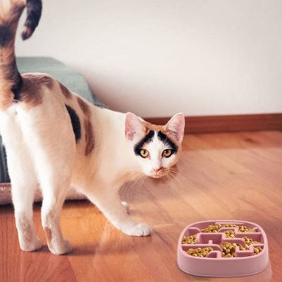 Gamelle anti glouton chat|Labyfeli