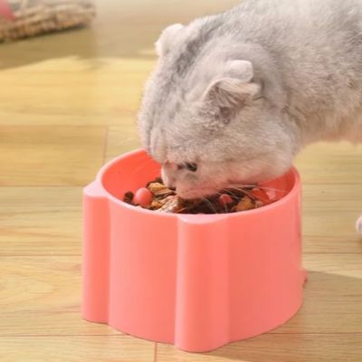 gamelle anti glouton chat miame