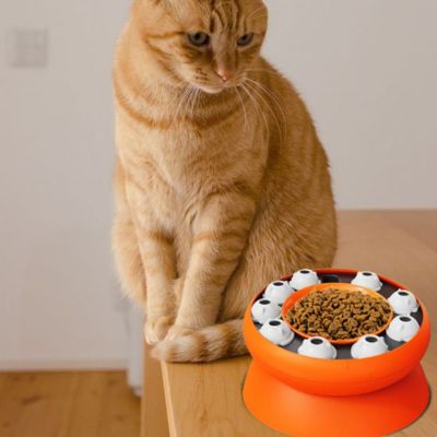 gamelle-anti-glouton-chat-questionnements