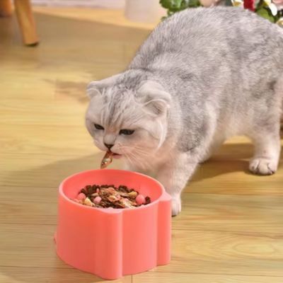 gamelle-anti-glouton-chat-savoureuse