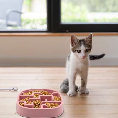 Gamelle anti glouton chat|Labyfeli