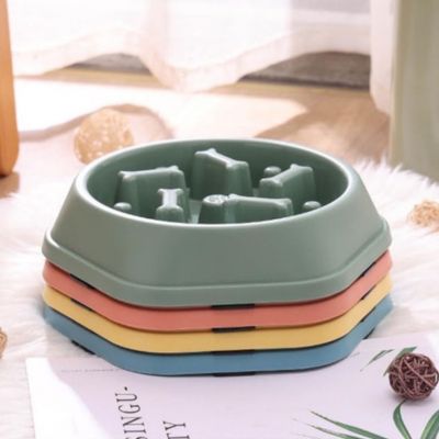 gamelle-anti-glouton-chat-tassees