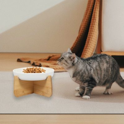 Gamelle anti glouton chat|Gloutocat