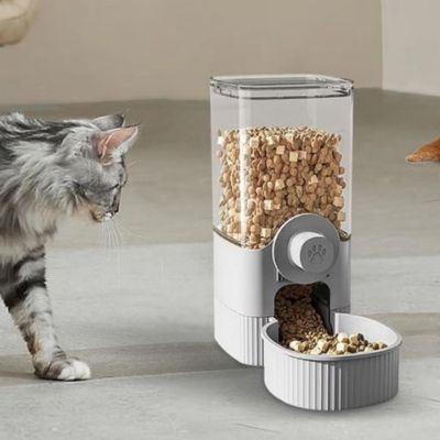 gamelle-automatique-chat-savoureuse