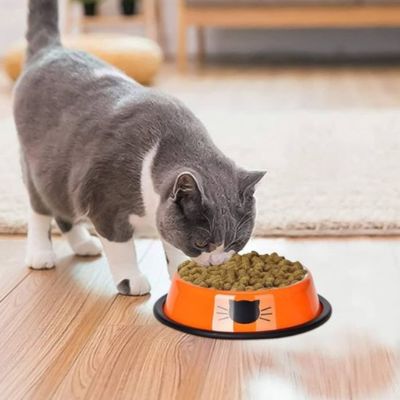 gamelle-chat-alimentation-simplifiee