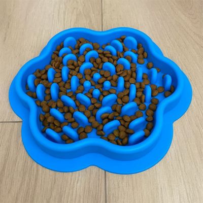 gamelle chat anti glouton complication