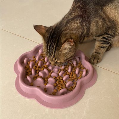 gamelle chat anti glouton embarrassante