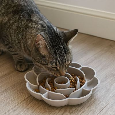 gamelle chat anti glouton empechement