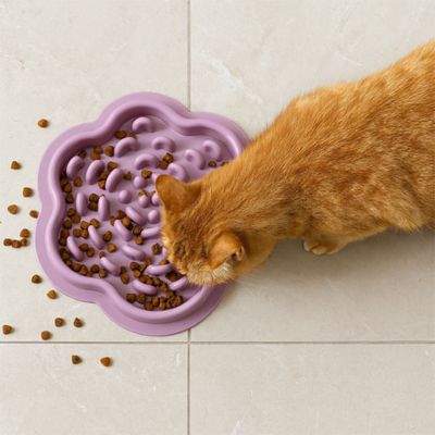 gamelle chat anti glouton genante