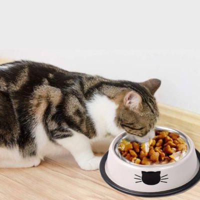 gamelle chat bienfaisante