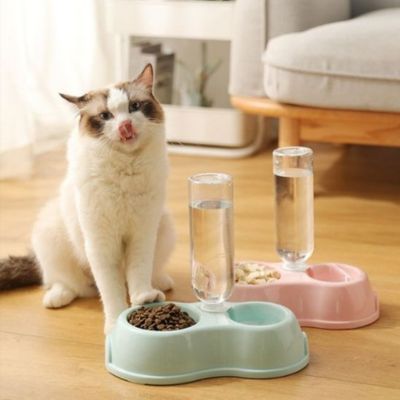 gamelle chat convaincante