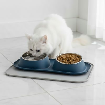 Gamelle Chat | Doubdini