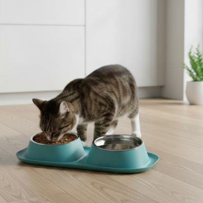 Gamelle Chat | Doubdini