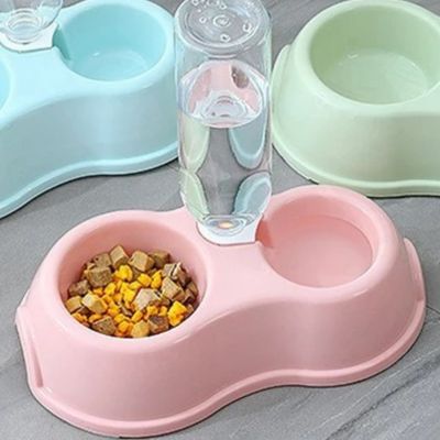 gamelle chat églantine