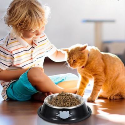 gamelle chat enfant content